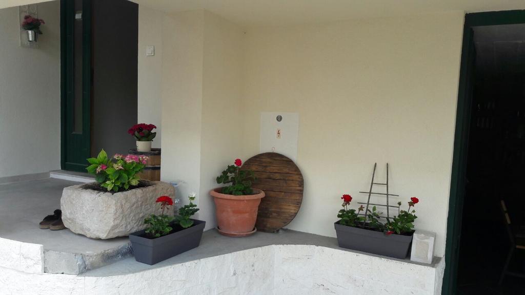 Apartment Tresnja